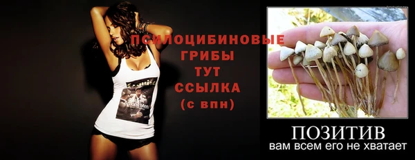 эйфоретик Арсеньев