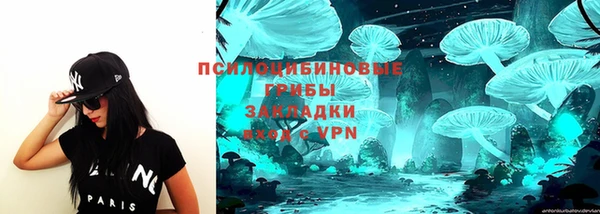 соль ск Аркадак